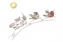 Portfolio Image
