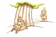 Portfolio Image