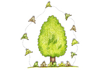 Portfolio Image