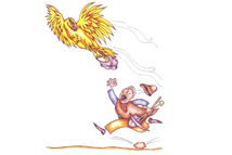 Portfolio Image