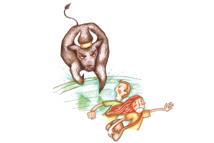 Portfolio Image