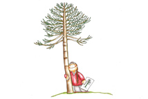 Portfolio Image