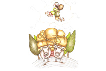 Portfolio Image