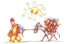 Portfolio Image