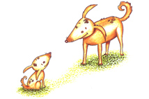 Portfolio Image